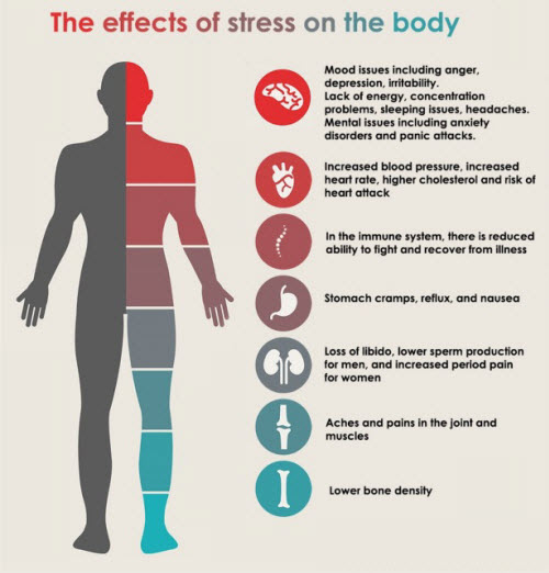 Stress symptoms: effects on your body and    mayo clinic