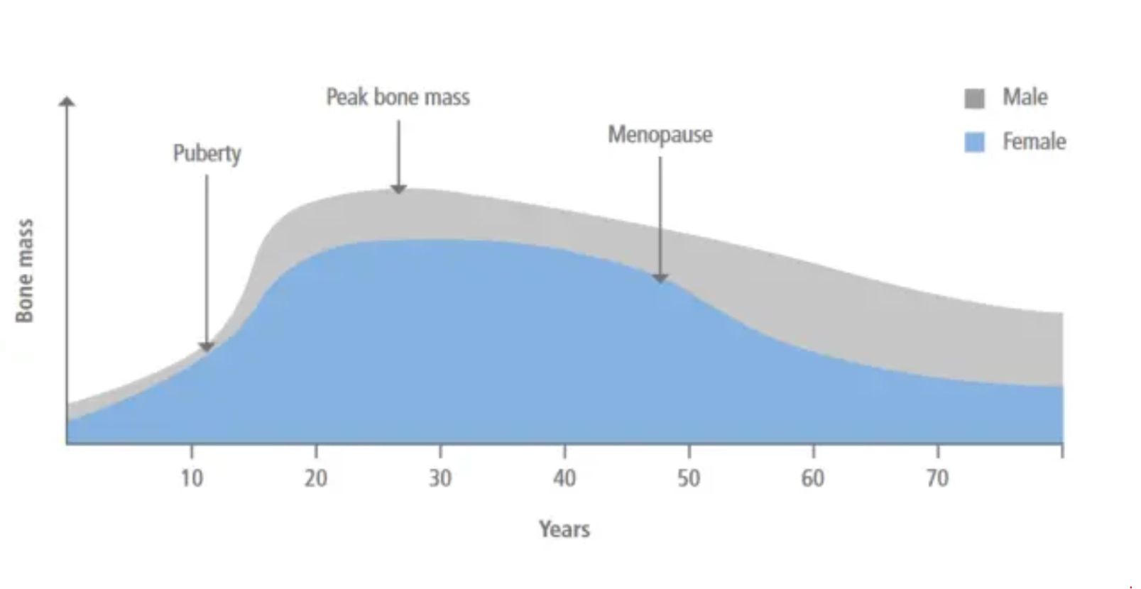 Exercise supporting bone health and osteoporosis prevention